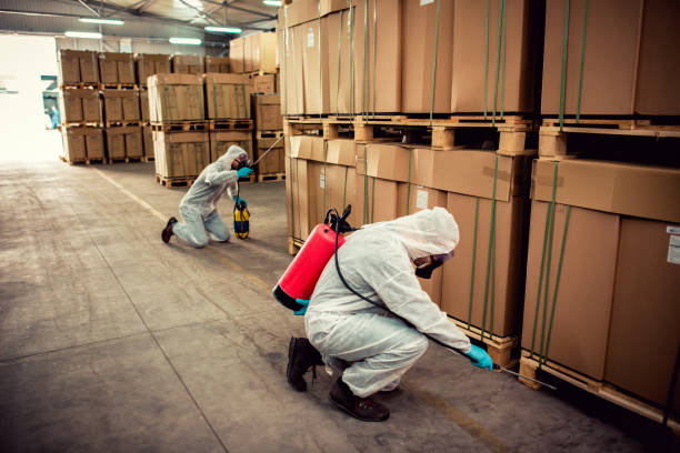 Best Termite Control Services  in Splendora, TX