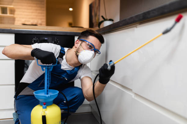 Best Pest Prevention Services  in Splendora, TX