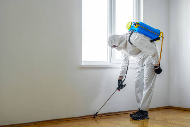 Best Rat Extermination Near Me  in Splendora, TX