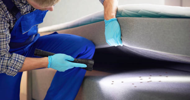 Best Bed Bug Extermination  in Splendora, TX