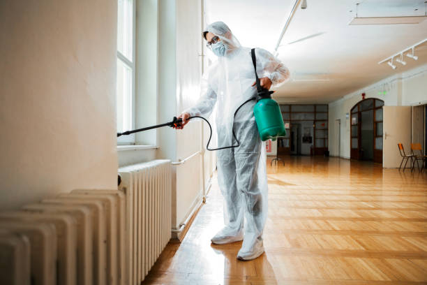 Best Termite Control Services  in Splendora, TX