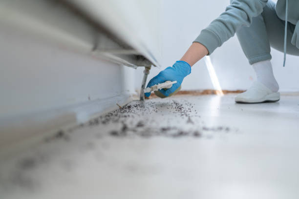 Best Pest Control Near Me  in Splendora, TX